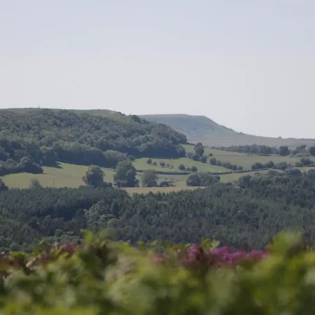 Holiday home Middlegate *